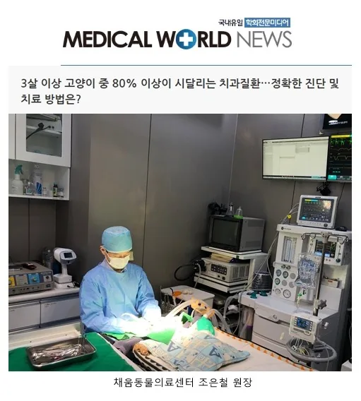언론에 보도된 조은철 원장님의 고양이 치과진료 기사